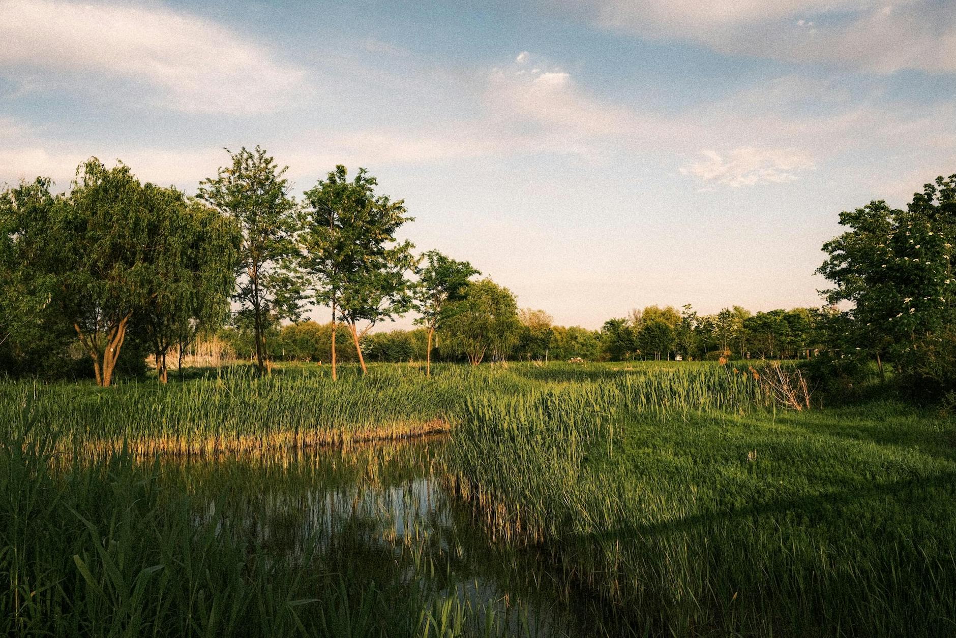 Panorama miasta Węgrów z widokiem na zabytkowe budynki i tereny zielone